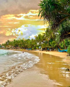 Mirissa waves Sri Lanka