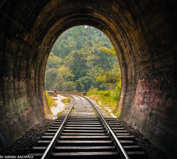 ella-nince arch-taxisceylon