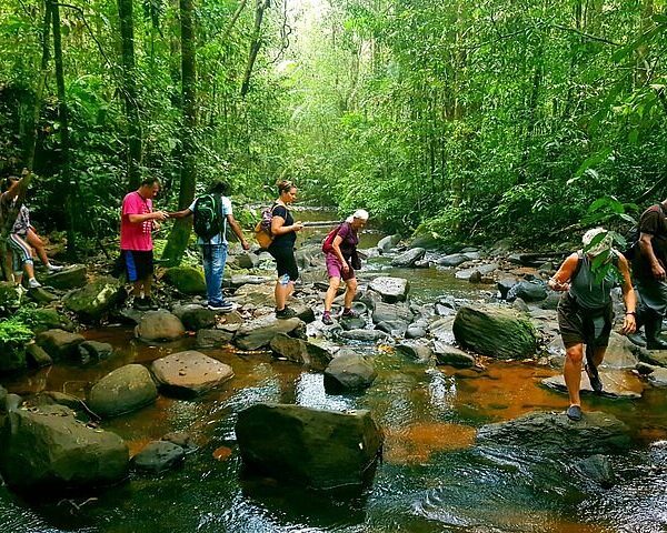 sinharaja-rain-forest-sri lanka