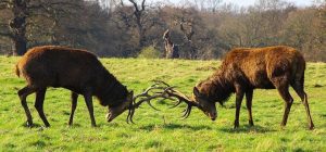 Horton Plains National Park Sri Lanka